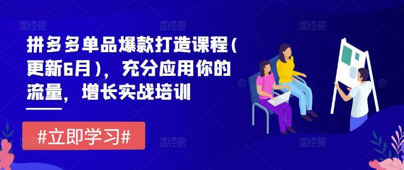 拼多多单品爆款打造课程(更新6月)，充分应用你的流量，增长实战培训-归鹤副业商城