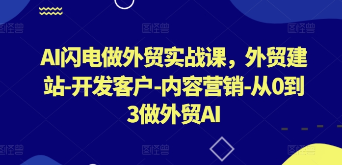 AI闪电做外贸实战课，​外贸建站-开发客户-内容营销-从0到3做外贸AI(更新)-归鹤副业商城