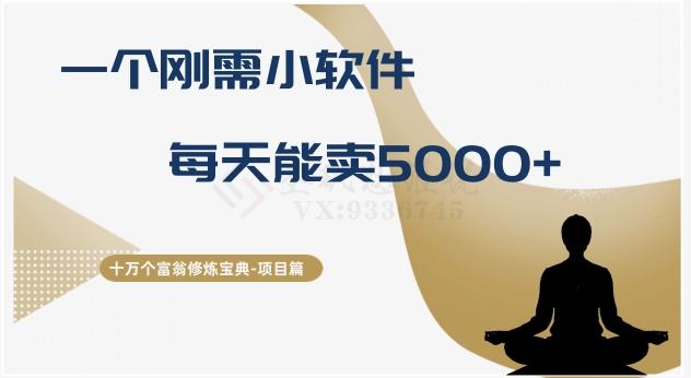 十万个富翁修炼宝典之17.一个刚需小软件，每天能卖5000+-归鹤副业商城