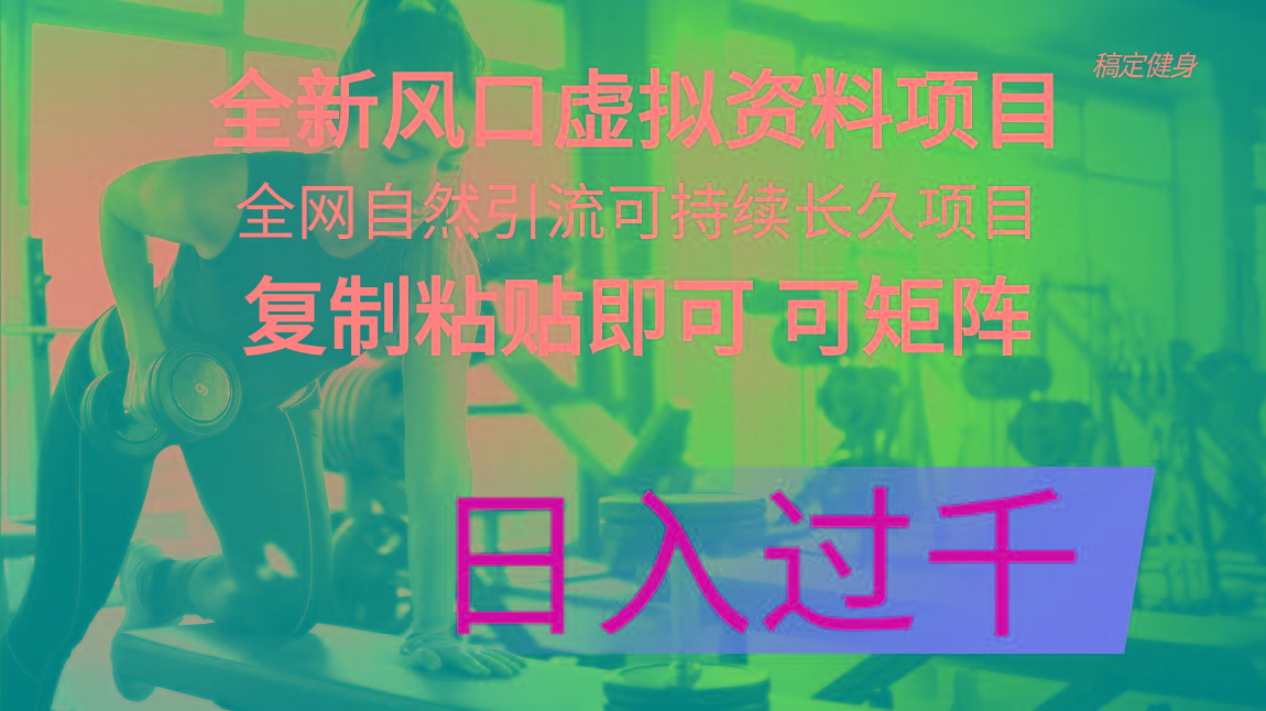 全新风口虚拟资料项目 全网自然引流可持续长久项目 复制粘贴即可可矩阵…-归鹤副业商城