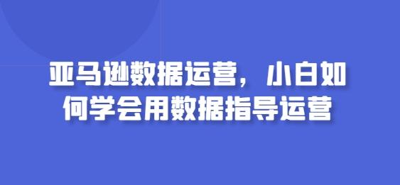 亚马逊数据运营，小白如何学会用数据指导运营-归鹤副业商城