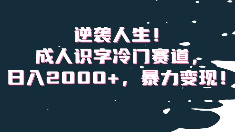 逆袭人生！成人识字冷门赛道，日入2000+，暴力变现！【揭秘】-归鹤副业商城