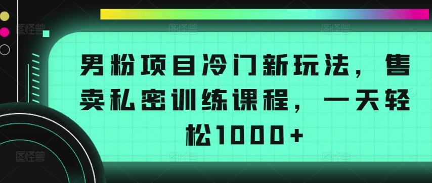 男粉项目冷门新玩法，售卖私密训练课程，一天轻松1000+【揭秘】-归鹤副业商城