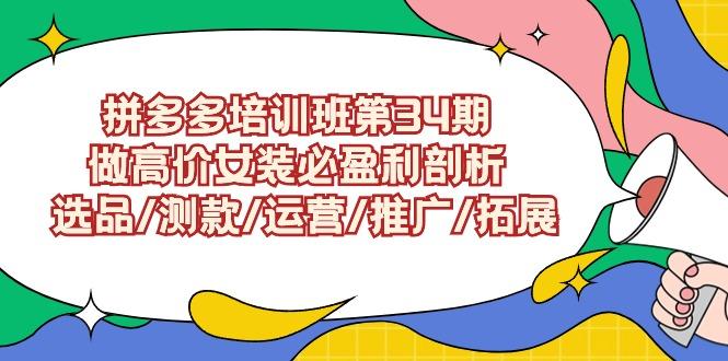 (9333期)拼多多培训班第34期：做高价女装必盈利剖析  选品/测款/运营/推广/拓展-归鹤副业商城