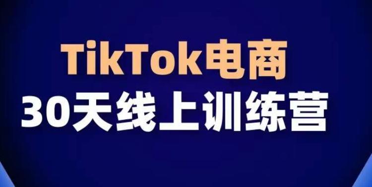 TikTok电商带货30天线上课，不可错过的全球流量洼地！-归鹤副业商城