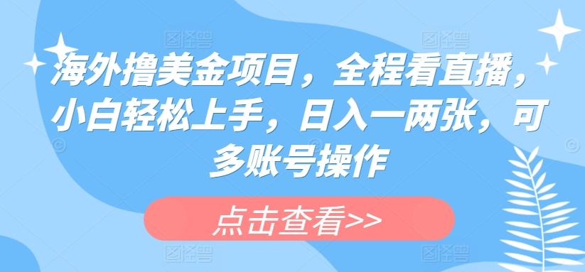 海外撸美金项目，全程看直播，小白轻松上手，日入一两张，可多账号操作【揭秘】-归鹤副业商城