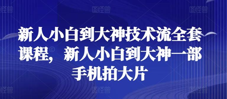 新人小白到大神技术流全套课程，新人小白到大神一部手机拍大片-归鹤副业商城