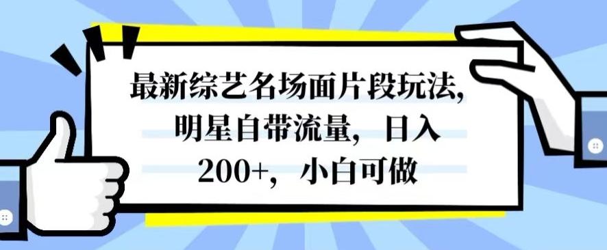 最新综艺名场面片段玩法，明星自带流量，日入200+，小白可做【揭秘】-归鹤副业商城