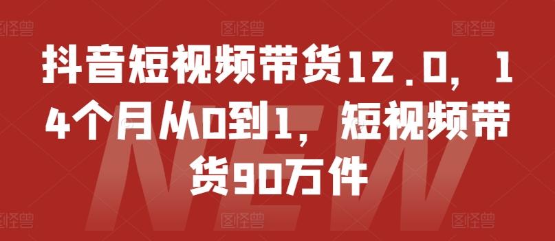 抖音短视频带货12.0，14个月从0到1，短视频带货90万件-归鹤副业商城