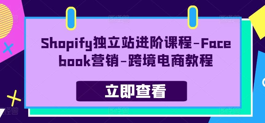 Shopify独立站进阶课程-Facebook营销-跨境电商教程-归鹤副业商城