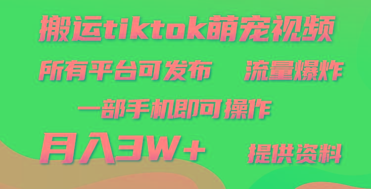 (9618期)搬运Tiktok萌宠类视频，一部手机即可。所有短视频平台均可操作，月入3W+-归鹤副业商城