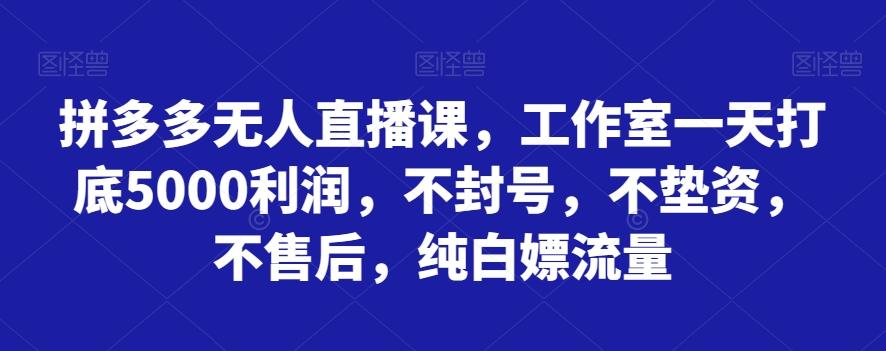 拼多多无人直播课，工作室一天打底5000利润，不封号，不垫资，不售后，纯白嫖流量-归鹤副业商城