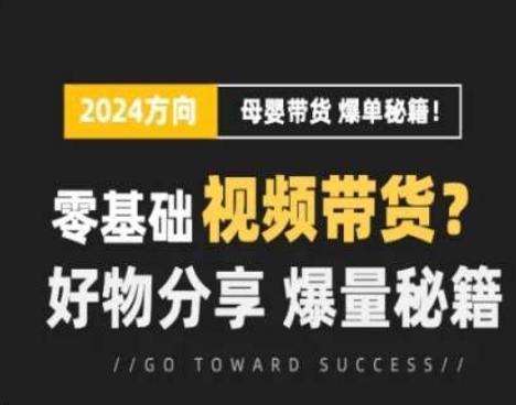 短视频母婴赛道实操流量训练营，零基础视频带货，好物分享，爆量秘籍-归鹤副业商城