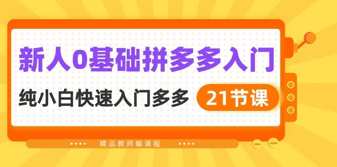 新人0基础拼多多入门，​纯小白快速入门多多(21节课-归鹤副业商城