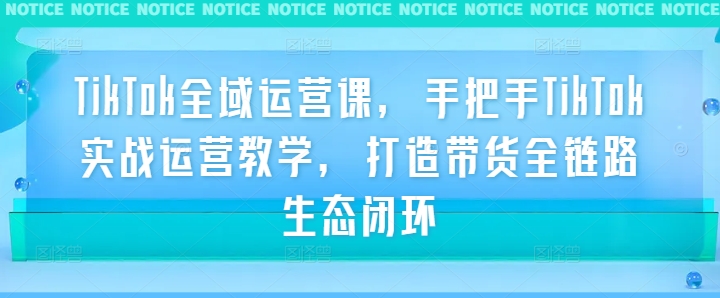 TikTok全域运营课，手把手TikTok实战运营教学，打造带货全链路生态闭环-归鹤副业商城