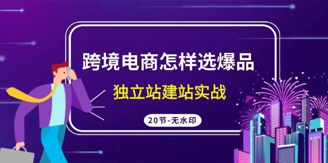 (9369期)跨境电商怎样选爆品，独立站建站实战(20节高清无水印课)-归鹤副业商城