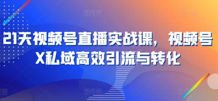 21天视频号直播实战课，视频号X私域高效引流与转化-归鹤副业商城