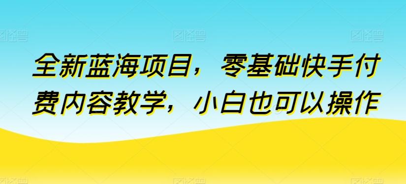 全新蓝海项目，零基础快手付费内容教学，小白也可以操作【揭秘】-归鹤副业商城