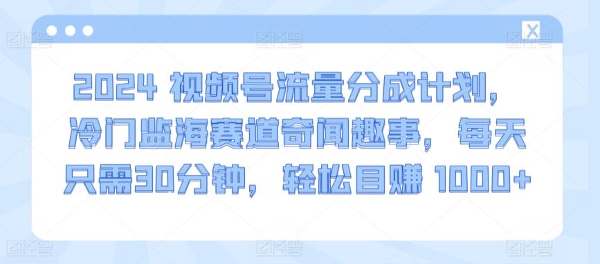 2024视频号流量分成计划，冷门监海赛道奇闻趣事，每天只需30分钟，轻松目赚 1000+【揭秘】-归鹤副业商城