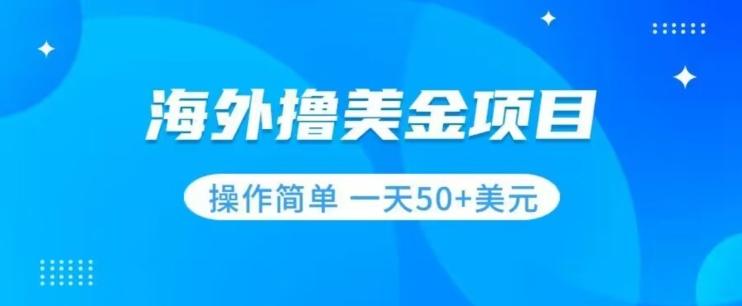 撸美金项目无门槛操作简单小白一天50+美刀-归鹤副业商城