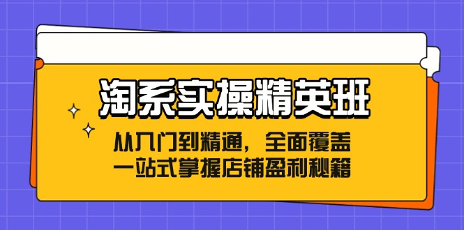 淘系实操精英班：从入门到精通，全面覆盖，一站式掌握店铺盈利秘籍-归鹤副业商城