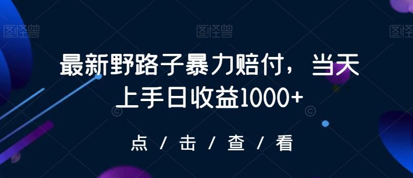 最新野路子暴力赔付，当天上手日收益1000+【仅揭秘】-归鹤副业商城