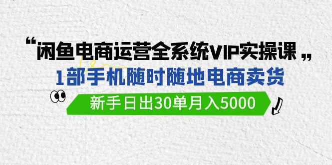 (9547期)闲鱼电商运营全系统VIP实战课，1部手机随时随地卖货，新手日出30单月入5000-归鹤副业商城