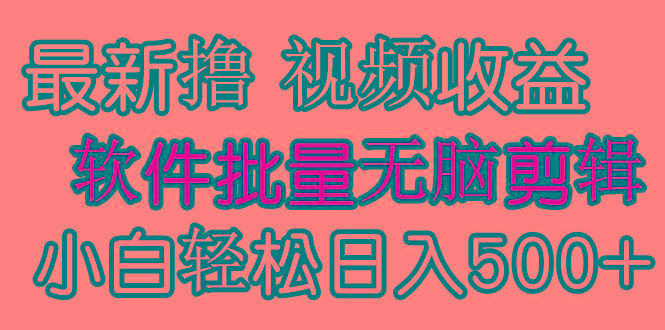 (9569期)发视频撸收益，软件无脑批量剪辑，第一天发第二天就有钱-归鹤副业商城