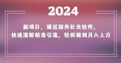 2024新项目，通过国外社交软件，快速涨粉精准引流，轻松做到月入上万【揭秘】-归鹤副业商城