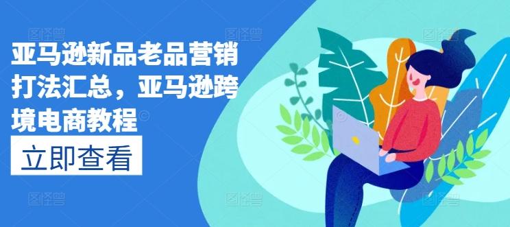 亚马逊新品老品营销打法汇总，亚马逊跨境电商教程-归鹤副业商城