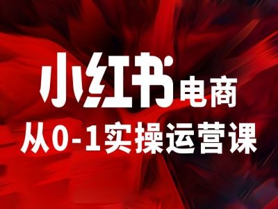 小红书电商从0-1实操运营课，让你从小白到精英-归鹤副业商城