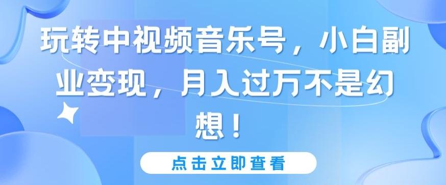 玩转中视频音乐号，小白副业变现，月入过万不是幻想【揭秘】-归鹤副业商城