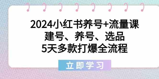 2024小红书养号+流量课：建号、养号、选品，5天多款打爆全流程-归鹤副业商城