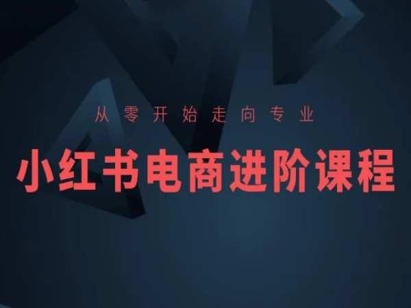 从零开始走向专业，小红书电商进阶课程-归鹤副业商城