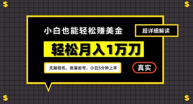 谷歌看广告撸美金2.0，无脑挂机，多号操作，月入1万刀【揭秘】-归鹤副业商城