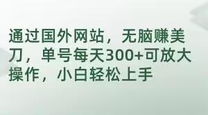 通过国外网站，无脑赚美刀，单号每天300+可放大操作，小白轻松上手【揭秘】-归鹤副业商城