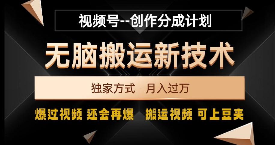 视频号无脑搬运新技术，破原创壕流量，独家方式，爆过视频，还会再爆【揭秘】-归鹤副业商城