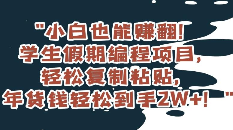 小白也能赚翻！学生假期编程项目，轻松复制粘贴，年货钱轻松到手2W+【揭秘】-归鹤副业商城