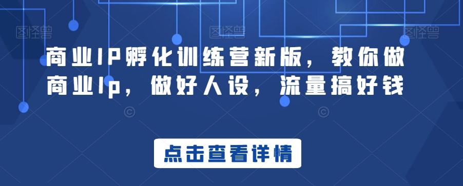 商业IP孵化训练营新版，教你做商业Ip，做好人设，流量搞好钱-归鹤副业商城