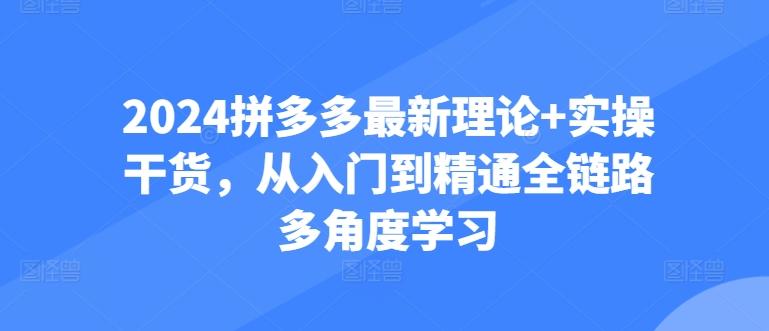 2024拼多多最新理论+实操干货，从入门到精通全链路多角度学习-归鹤副业商城