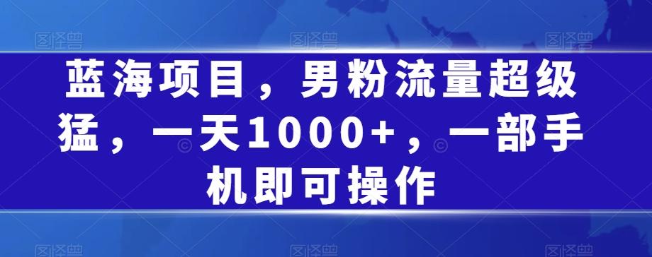 蓝海项目，男粉流量超级猛，一天1000+，一部手机即可操作【揭秘】-归鹤副业商城