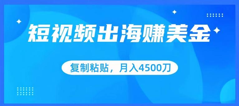 短视频出海赚美金，复制粘贴批量操作，小白轻松掌握，月入4500美刀【揭秘】-归鹤副业商城