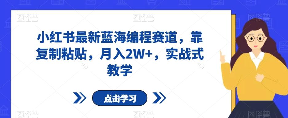 小红书最新蓝海编程赛道，靠复制粘贴，月入2W+，实战式教学【揭秘】-归鹤副业商城