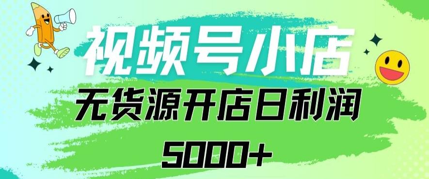 视频号无货源小店从0到1日订单量千单以上纯利润稳稳5000+【揭秘】-网创资源