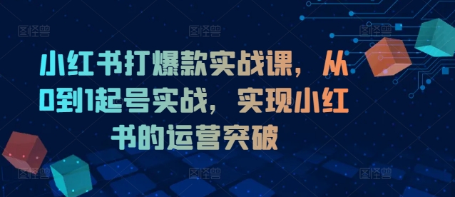 小红书打爆款实战课，从0到1起号实战，实现小红书的运营突破-归鹤副业商城