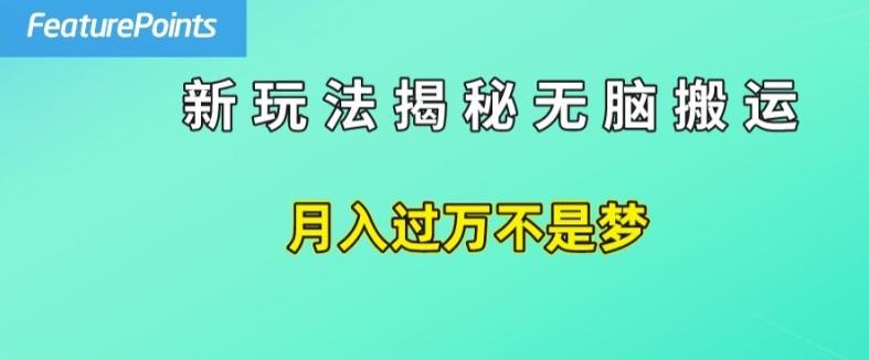 简单操作，每天50美元收入，搬运就是赚钱的秘诀【揭秘】-归鹤副业商城