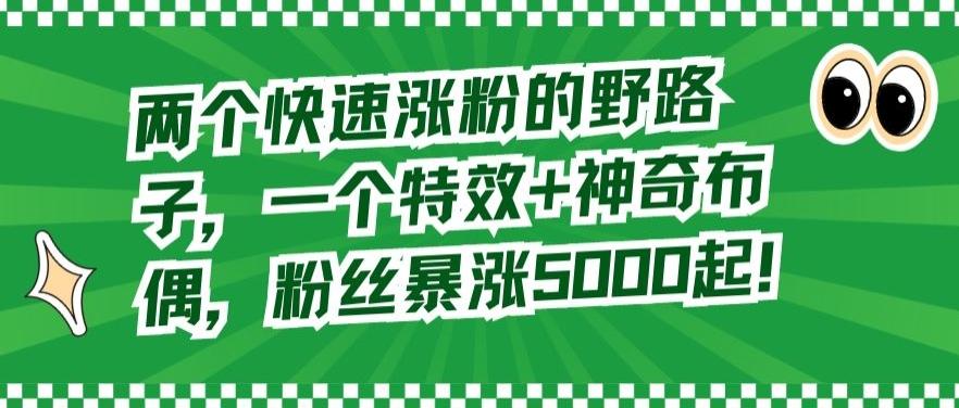 两个快速涨粉的野路子，一个特效+神奇布偶，粉丝暴涨5000起【揭秘】-归鹤副业商城