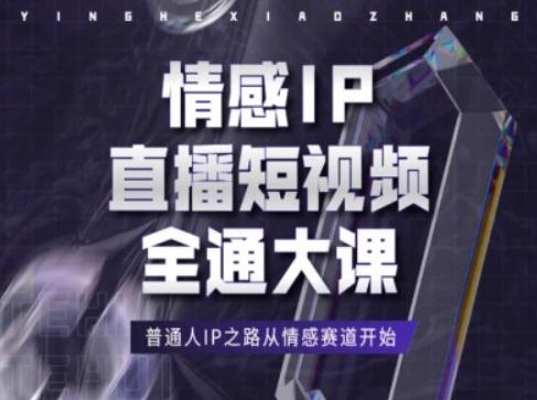 情感IP直播短视频全通大课，普通人IP之路从情感赛道开始-归鹤副业商城