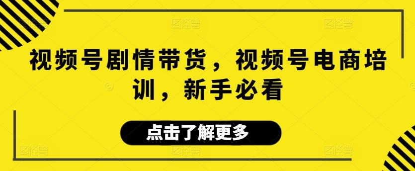 视频号剧情带货，视频号电商培训，新手必看-网创资源