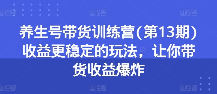 养生号带货训练营(第13期)收益更稳定的玩法，让你带货收益爆炸-归鹤副业商城